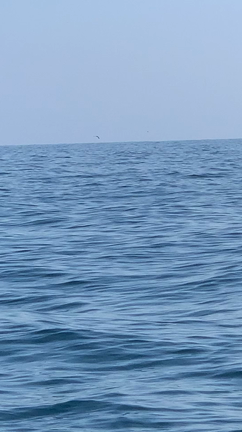 3月19日の記事動画