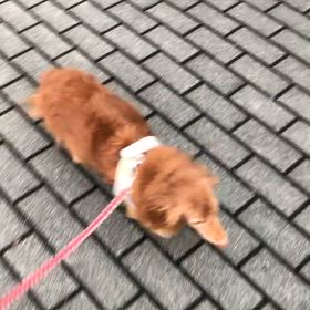 10.4 好きなことはやり続けたいの画像