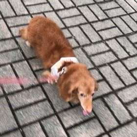 毎日感謝の画像