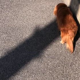 10.21  いざ病院への画像