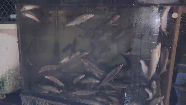 10月18日(土)の記事動画