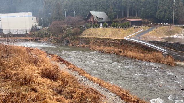 今年のアマゴ釣り解禁の記事動画