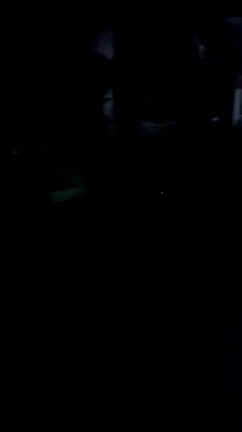 蛍がいました～の記事動画