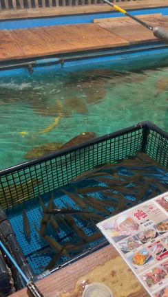 釣り堀居酒屋きたの記事動画