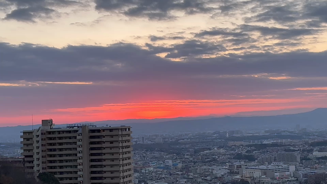 2023.1.1の記事動画