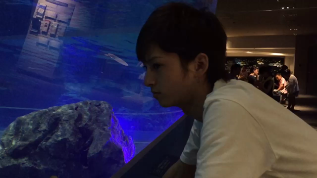 ワロップ特番(=ﾟωﾟ)ﾉの記事動画