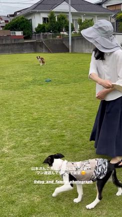 愛犬家のご夫婦と我が子達の笑顔に癒されました！（＾_＾）☆の記事動画