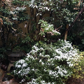 雪の画像