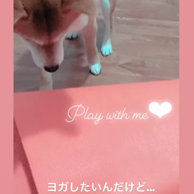 小さな幸せの画像