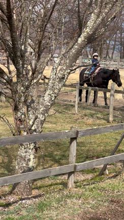 意外だった答えの記事動画