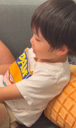 リクエストに応えられない理由の記事動画
