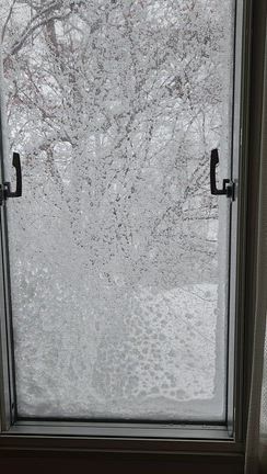 暴風雪警報発令中ですが、場あたりゲネプロやらなくちゃ。~「エレジー」明日初日です!!~の記事動画