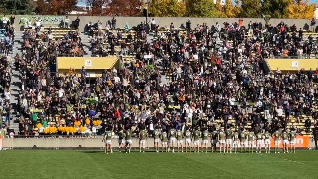 法政大学戦結果＆コメントの記事動画