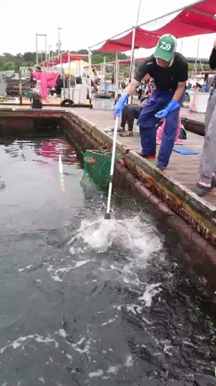 驚き！釣りブログ１の記事動画