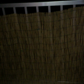 ☆☆早過ぎ(~_~;)☆☆の画像