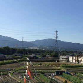 ☆☆ウグイスの鳴き声(*^_^*)☆☆の画像