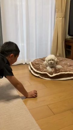 リノちゃんトライアルの記事動画
