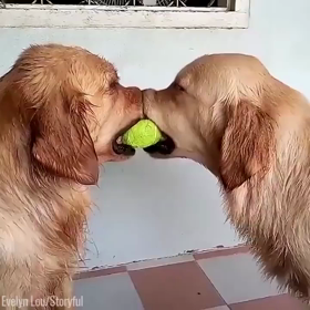 三位一体の画像