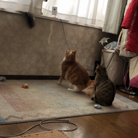 おはようーの画像