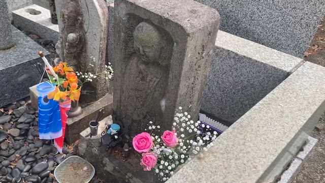 昨日のラジオの記事動画