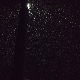 Twitterﾌﾞﾛｸﾞ③。の画像