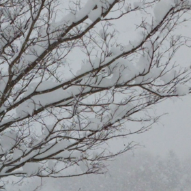 Twitterﾌﾞ ﾛｸﾞ②。の画像