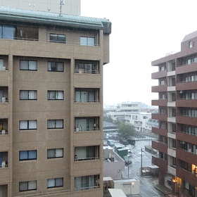 嵐だ～の画像
