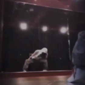 色んなスタイルのチェアーダンスの画像