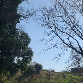 鶯の鳴き声の画像