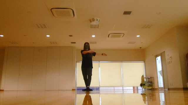 夜の紅葉の記事動画