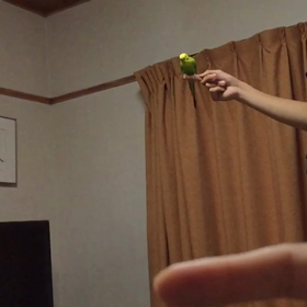スロー再生(DJ&ソルト)vrの画像