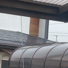 予報通りの雪です！の画像