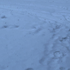 今シーズンは本当に雪が多い！の画像