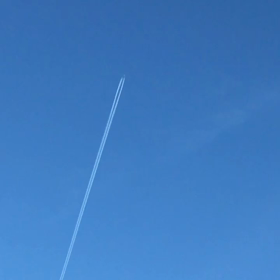 飛びたい！の画像