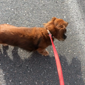 歩こう〜♬の画像