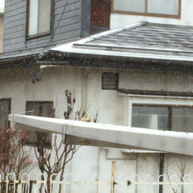 雪だ！寝よ！の画像