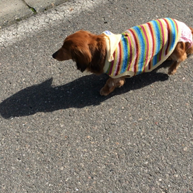 今日は最高吉日だそうです！の画像