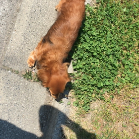 無償の愛での画像
