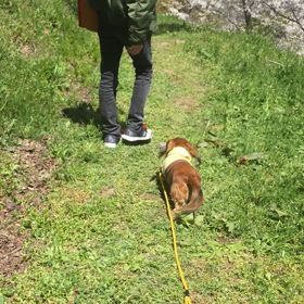 ドキドキの一日の画像