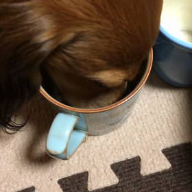 さりげない気遣いの画像