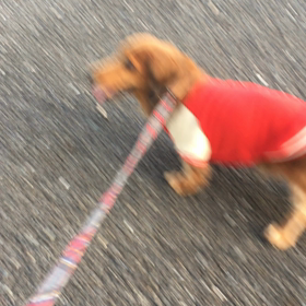 病院嫌いですから！の画像