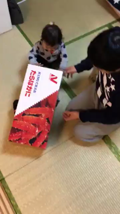 しつこいの記事動画