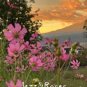 お家カフェの画像