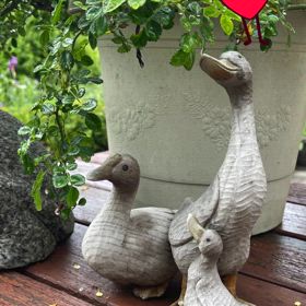 気がつきゃの画像