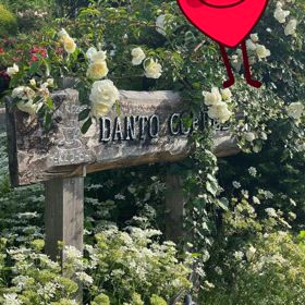 コーヒーの画像