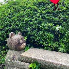 気がつきゃの画像