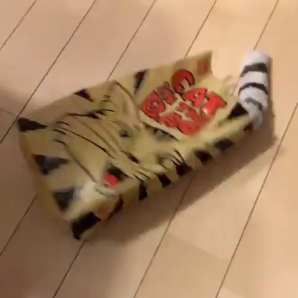 本とバッグ。の記事動画