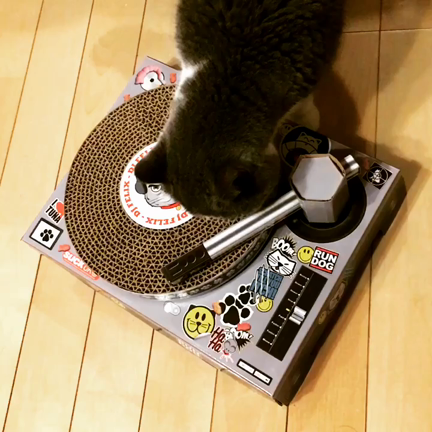 アルがDJデビュー！の記事動画