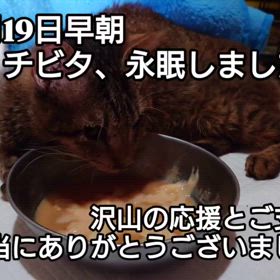 2025/07/22の画像
