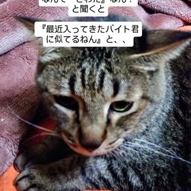 2026/02/24の画像